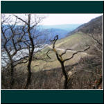 Rheinsteig II 077.jpg